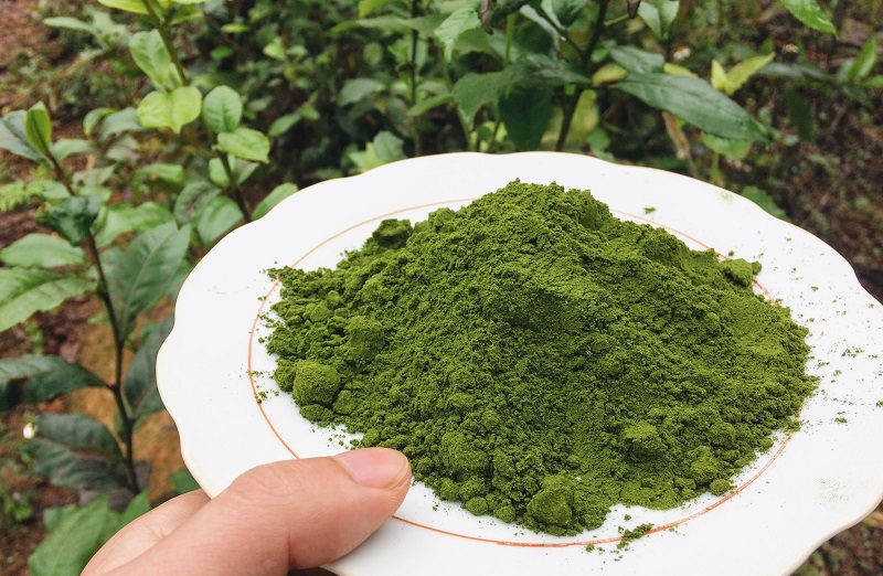 Dịch vụ vận chuyển bột matcha đi Châu Âu giá rẻ, nhanh chóng