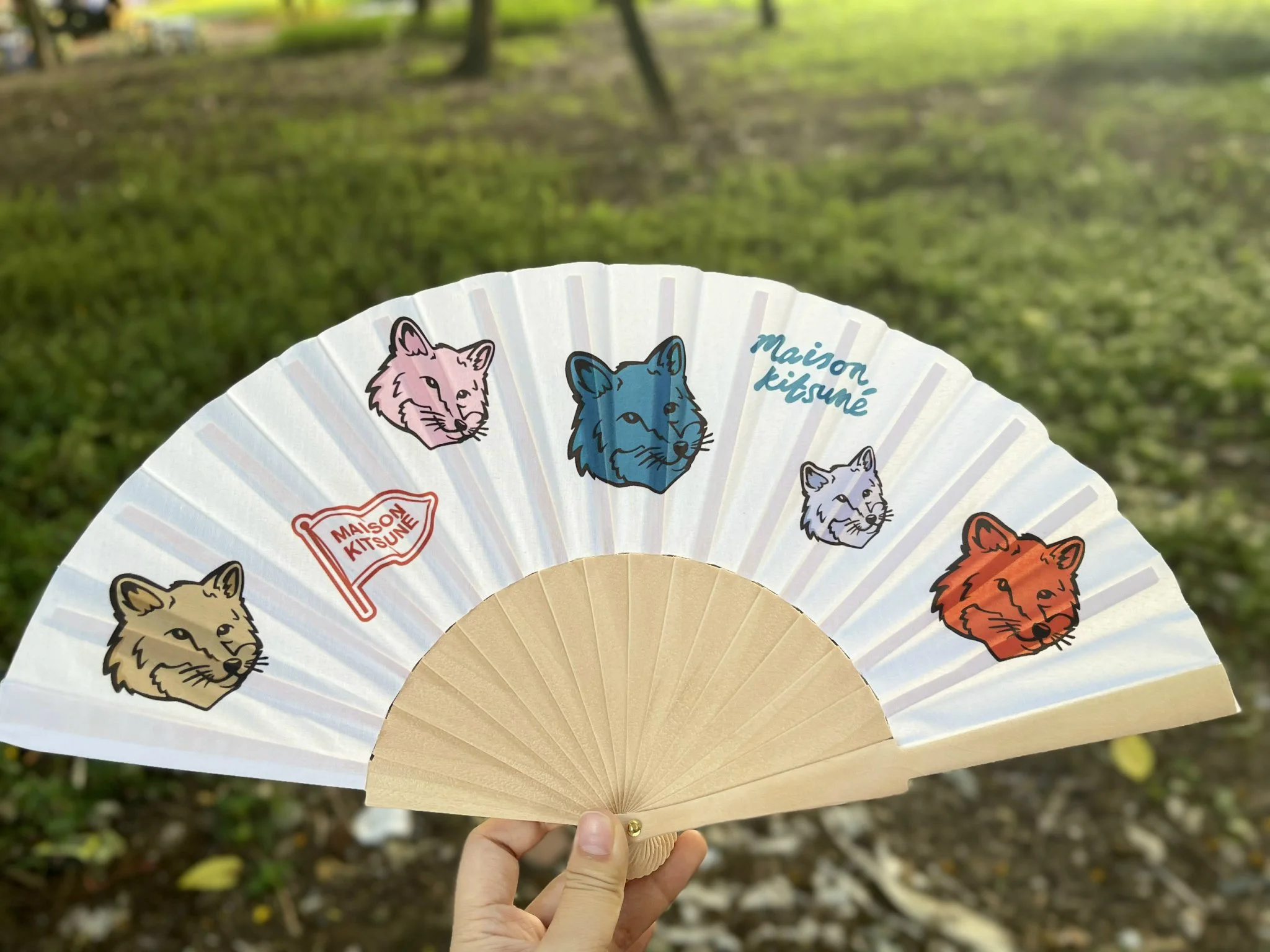 Hình ảnh quạt giấy