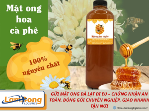 Mật ong hoa cà phê