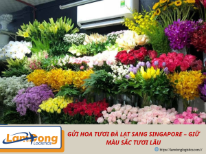  Hoa tươi Đà Lạt