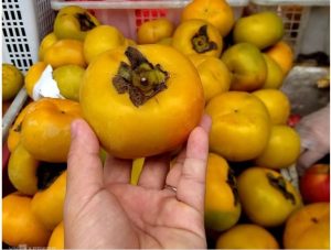 Nhận diện hồng Đà Lạt Nhận diện hồng Đà Lạt