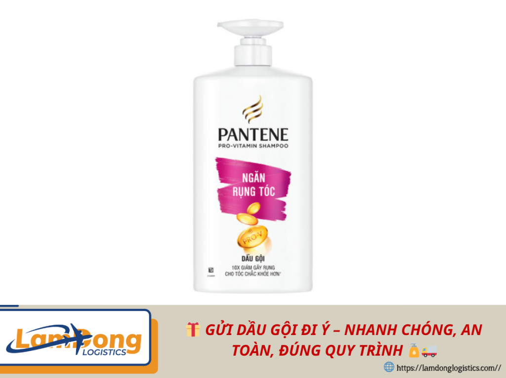 Gửi dầu gội đi Ý – nhanh chóng, an toàn, đúng quy trình