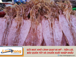 GỬI MỰC KHÔ CÁNH QUẠT ĐI MỸ – TIỆN LỢI, BẢO QUẢN TỐT VÀ CHUẨN XUẤT NHẬP KHẨU