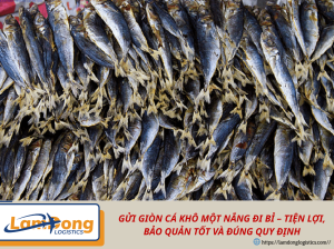 GỬI GIÒN CÁ KHÔ MỘT NẮNG ĐI BỈ – TIỆN LỢI, BẢO QUẢN TỐT VÀ ĐÚNG QUY ĐỊNH
