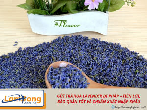 GỬI TRÀ HOA LAVENDER ĐI PHÁP – TIỆN LỢI, BẢO QUẢN TỐT VÀ CHUẨN XUẤT NHẬP KHẨU