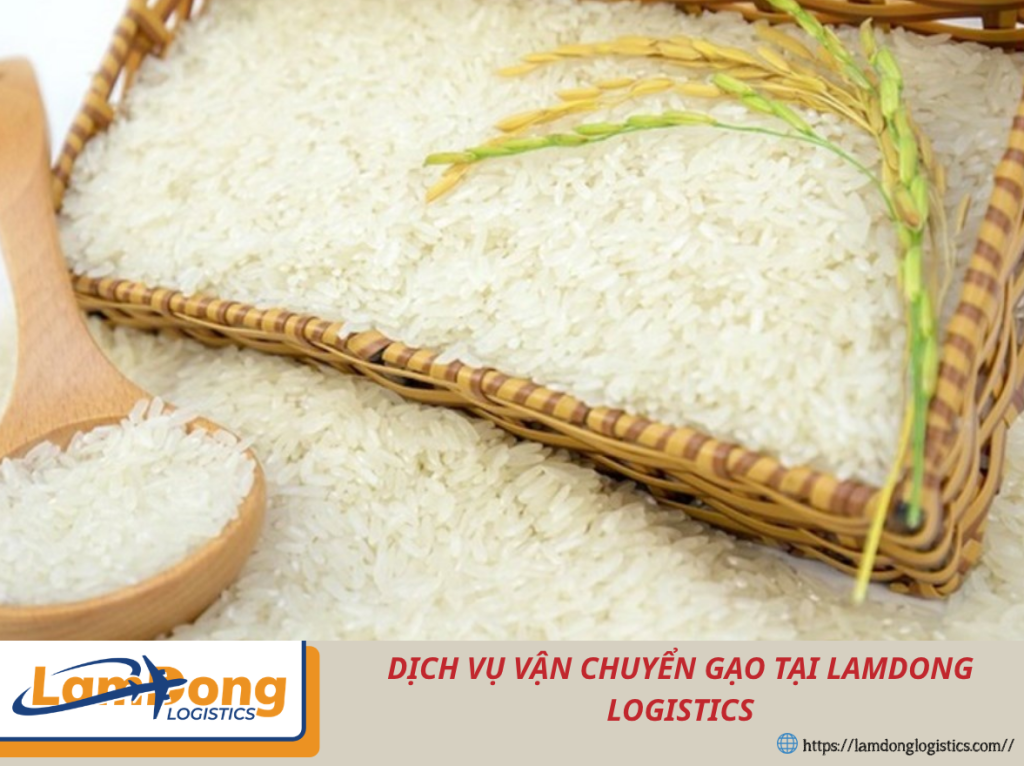 Dịch vụ vận chuyển gạo đường biển an toàn, tiết kiệm cùng Lam Dong Logistics. Hỗ trợ đóng gói, khai báo hải quan và giao hàng quốc tế nhanh chóng, ổn định.