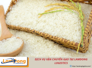 Dịch vụ vận chuyển gạo đường biển an toàn, tiết kiệm cùng Lam Dong Logistics. Hỗ trợ đóng gói, khai báo hải quan và giao hàng quốc tế nhanh chóng, ổn định.