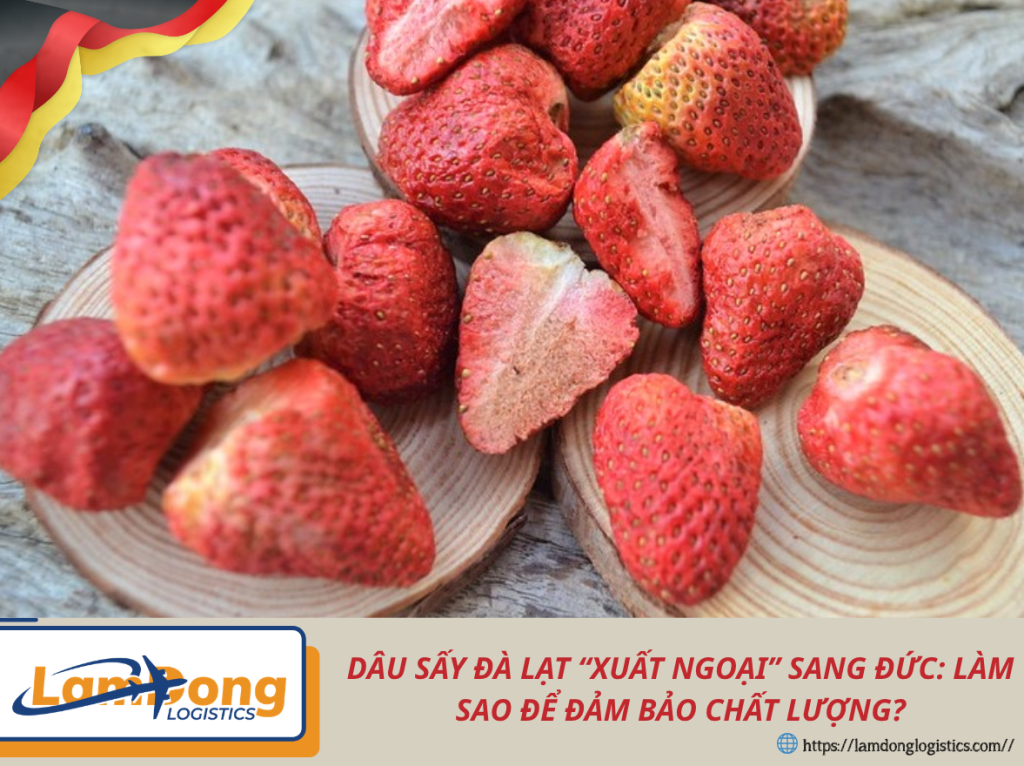 Dâu sấy Đà Lạt “xuất ngoại” sang Đức: Làm sao để đảm bảo chất lượng?