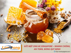 GỬI MẬT ONG ĐI SINGAPORE – NHANH CHÓNG, AN TOÀN, ĐÚNG QUY ĐỊNH