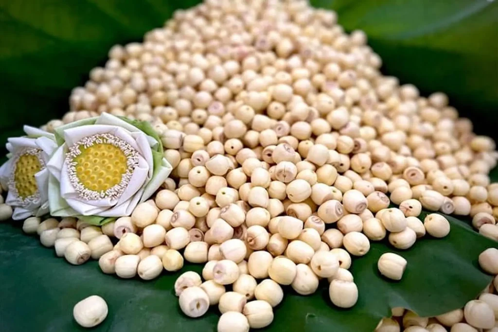 Gửi hạt sen đi Hàn Quốc nhanh chóng, an toàn với cước phí cạnh tranh. Nhận gửi hạt sen khô, hạt sen sấy, hỗ trợ đóng gói và giao tận nơi chỉ từ 3–7 ngày.