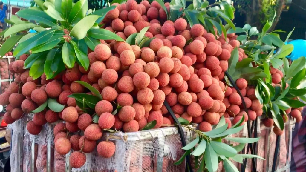 VẢI THIỀU VIỆT NAM