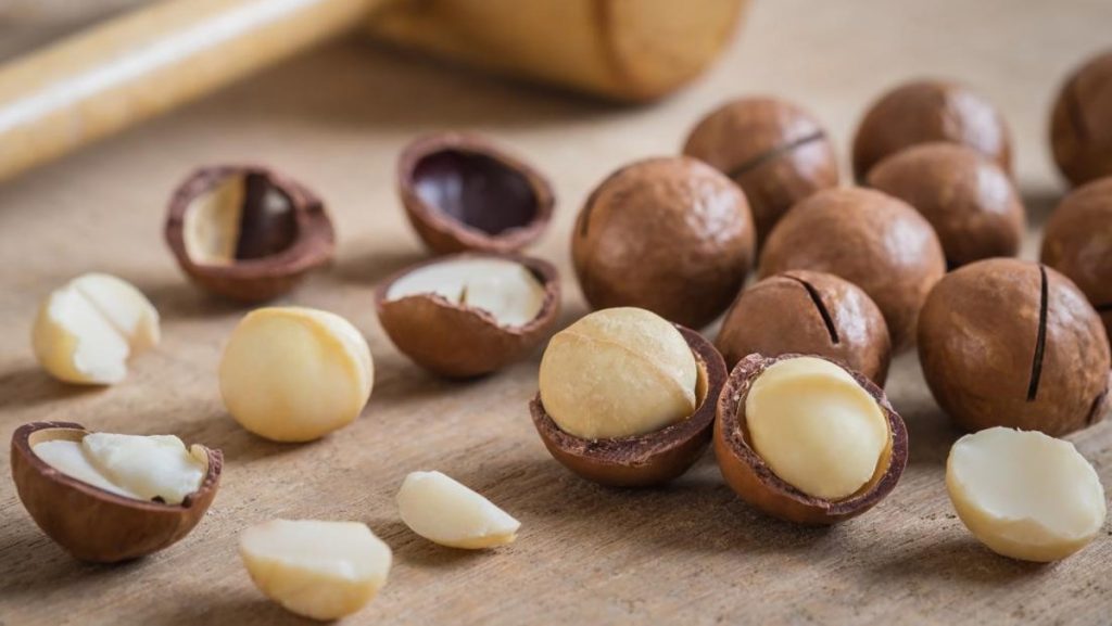 Gửi hạt macca đi Nhật Bản cần lưu ý gì? Tìm hiểu quy định nhập khẩu, cách đóng gói, thời gian vận chuyển và thủ tục gửi hàng an toàn.