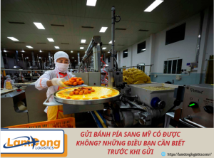 Gửi bánh pía sang Mỹ có được không? Những điều bạn cần biết trước khi gửi