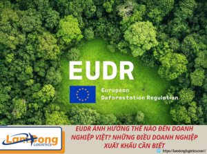 EUDR ảnh hưởng thế nào đến doanh nghiệp Việt? Những điều doanh nghiệp xuất khẩu cần biết