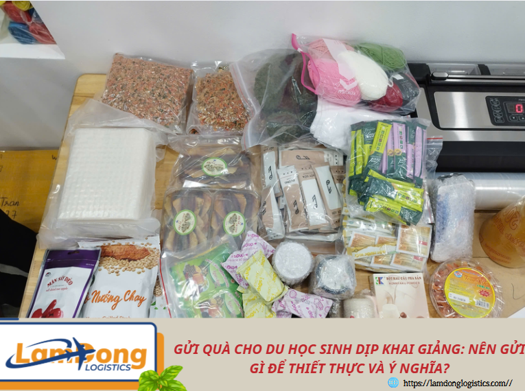 Gửi quà cho du học sinh dịp khai giảng: Nên gửi gì để thiết thực và ý nghĩa?