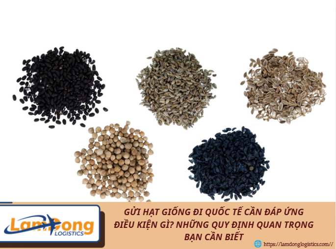 Gửi hạt giống đi quốc tế cần đáp ứng điều kiện gì? Những quy định quan trọng bạn cần biết