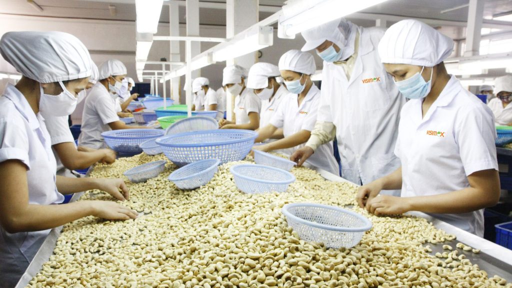 Xuất khẩu hạt điều Việt Nam