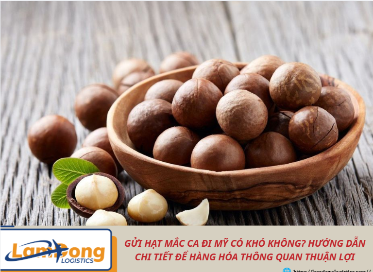 Gửi hạt mắc ca đi Mỹ có khó không? Hướng dẫn chi tiết để hàng hóa thông quan thuận lợi