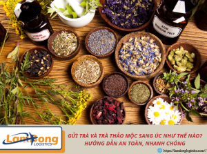 Gửi trà và trà thảo mộc sang Úc như thế nào? Hướng dẫn an toàn, nhanh chóng