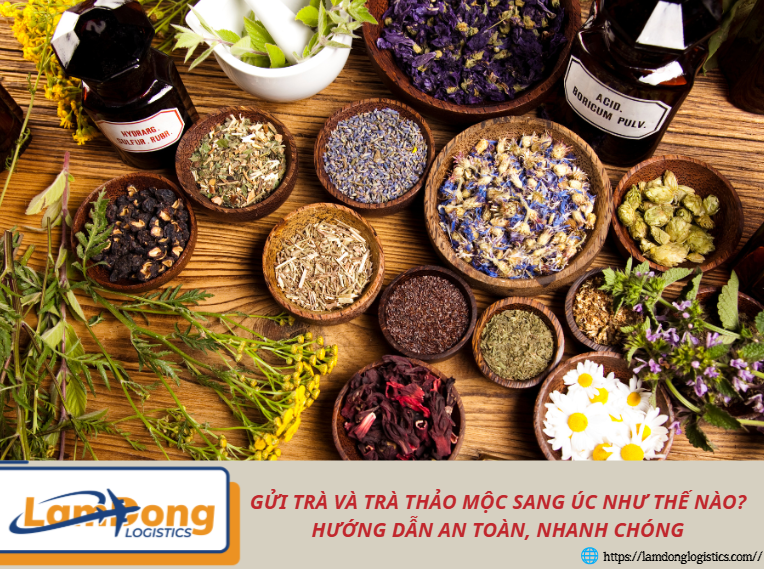 Gửi trà và trà thảo mộc sang Úc như thế nào? Hướng dẫn an toàn, nhanh chóng