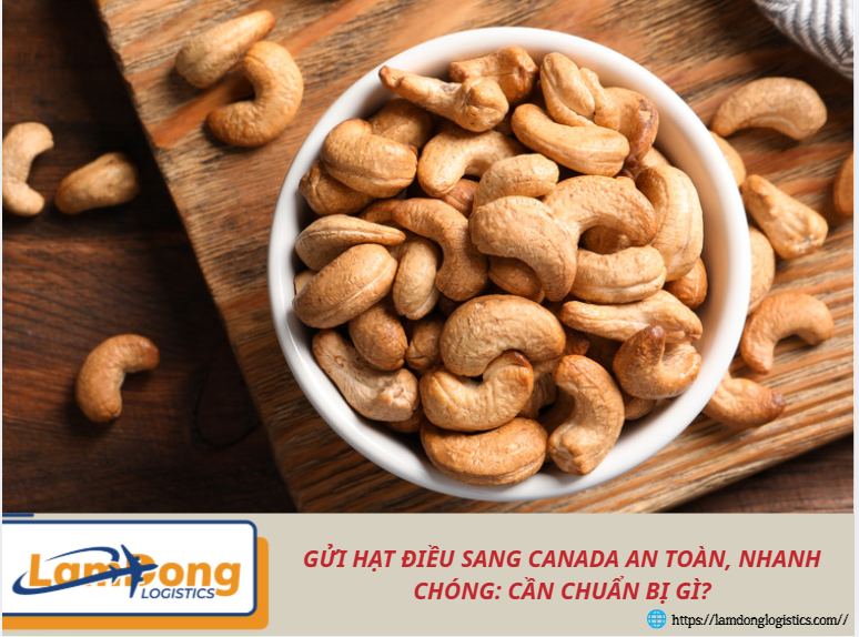 Gửi hạt điều sang Canada an toàn, nhanh chóng: Cần chuẩn bị gì?