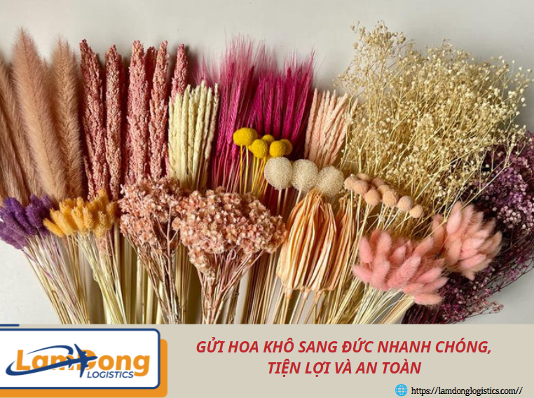 Gửi hoa khô sang Đức nhanh chóng, tiện lợi và an toàn