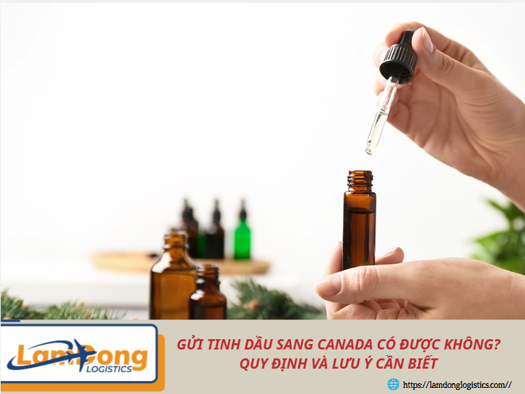 Gửi tinh dầu sang Canada có được không? Quy định và lưu ý cần biết