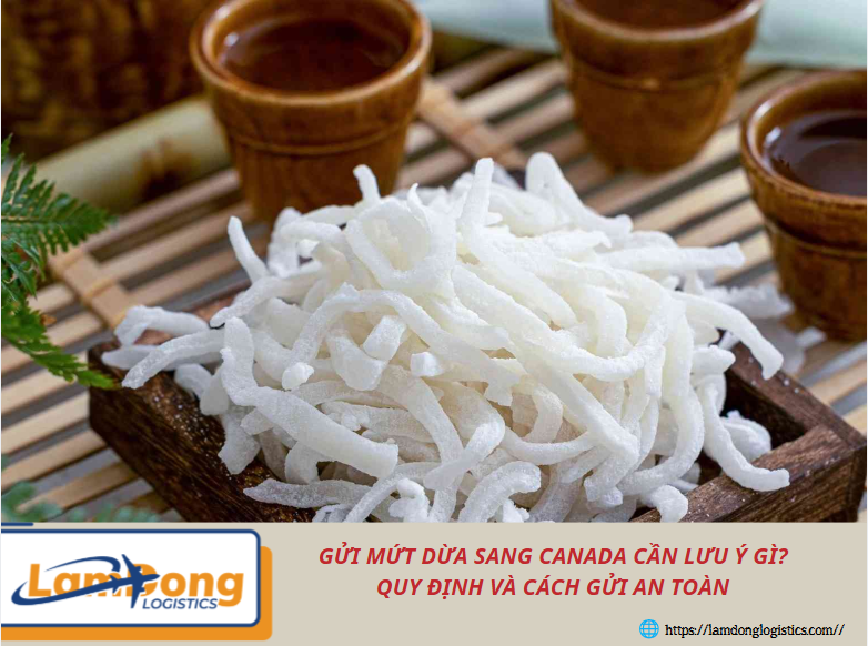 Gửi mứt dừa sang Canada cần lưu ý gì? Quy định và cách gửi an toàn