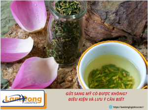 Gửi sang Mỹ có được không? Điều kiện và lưu ý cần biết