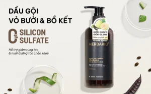 Gửi Dầu Gội Đi Châu Âu An Toàn, Nhanh Chóng